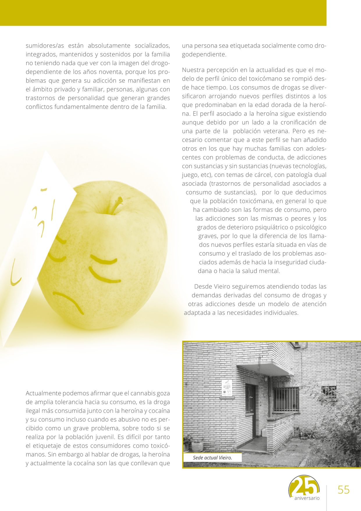 Revista VIEIRO n84 — página 55
