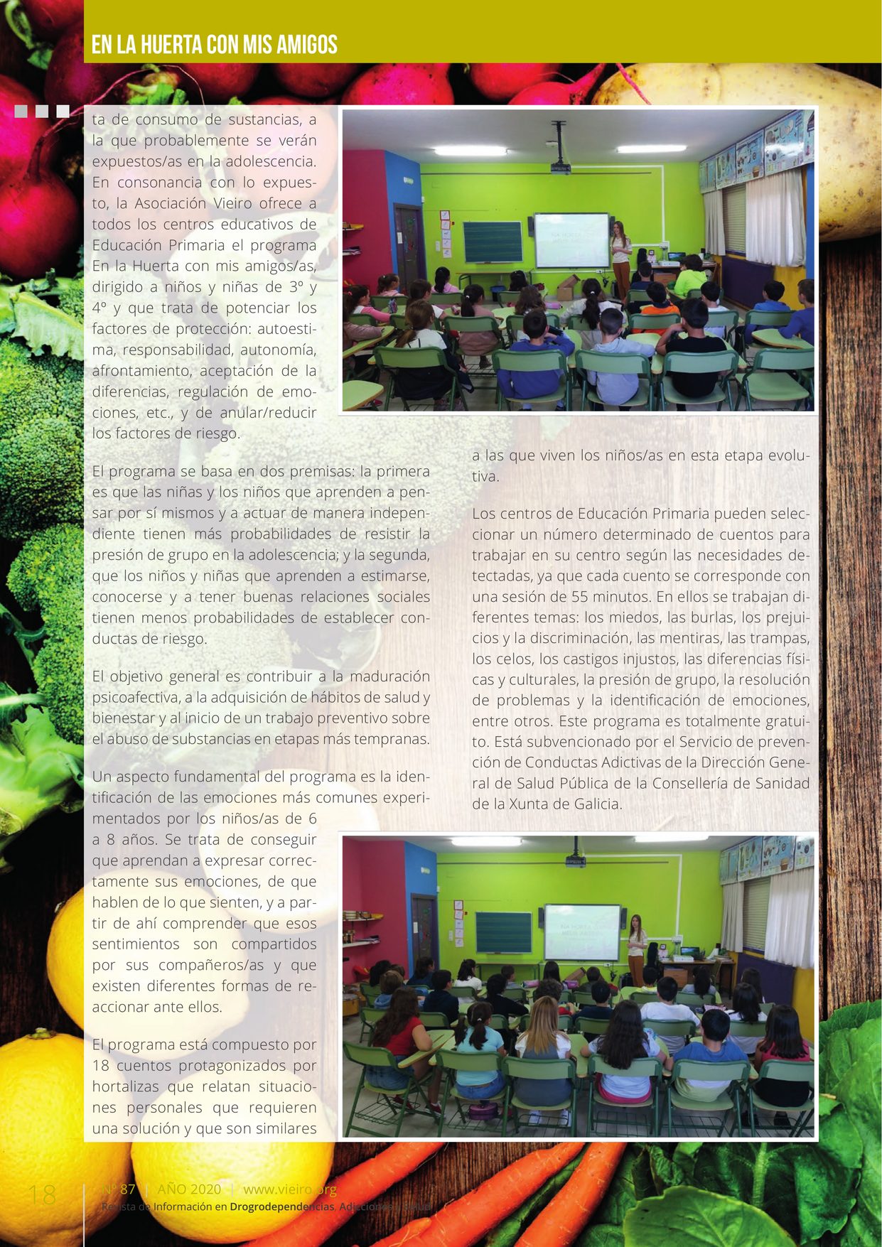 Revista VIEIRO n87 — página 18