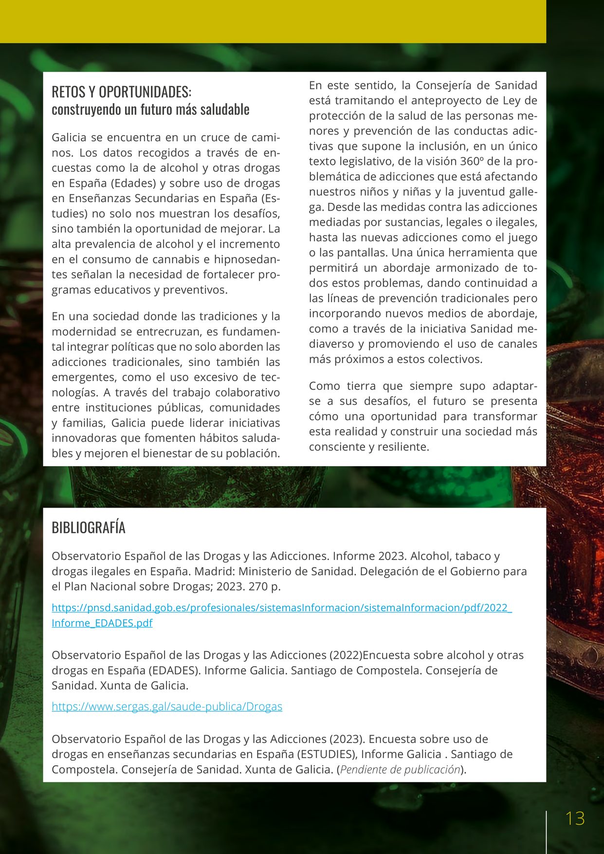 Revista VIEIRO n92 — página 13